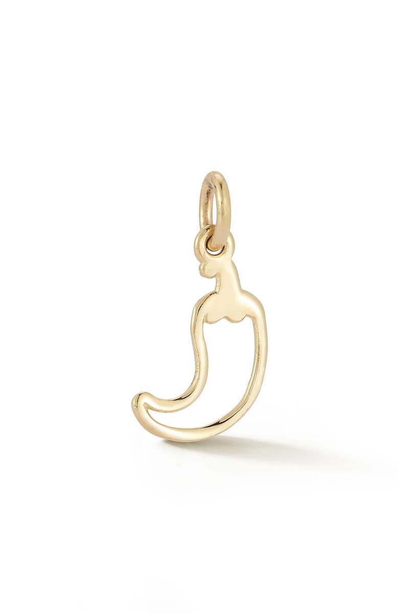 Ember Fine Jewelry 14K Yellow Gold Chili Charm Beaded Necklace, Alternate, color, Gold/Red