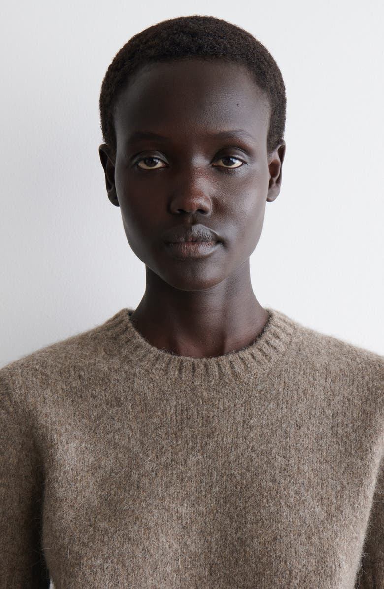 COS Sweetings Short Sleeve Cashmere & Wool Sweater, Alternate, color,