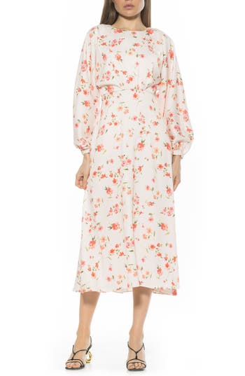 Alexia Admor Constance Fit & Flare Dress In Blush Floral