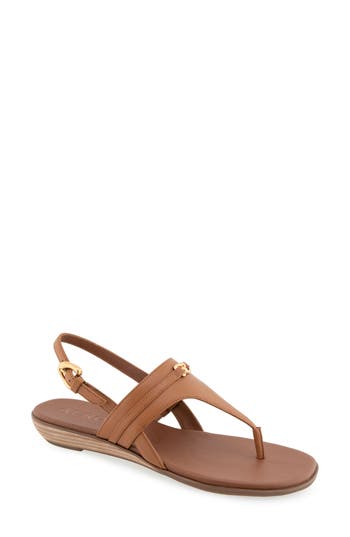 AEROSOLES AEROSOLES GEMAL SLINGBACK SANDAL