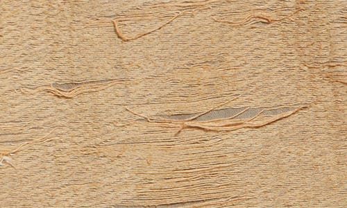 Diesel De Astro Fsg Cotton Top Destroyed Effect In Beige