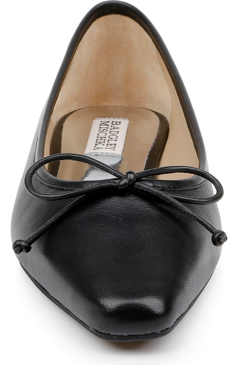 Badgley Mischka Collection Cam Pointed Toe Ballet Flat, Alternate, color,