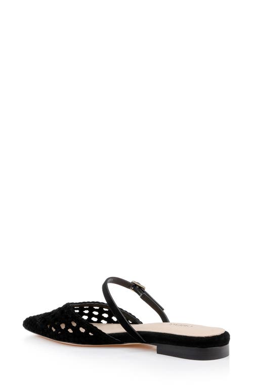 L Agence L'agence Jacklyn Mary Jane Pointed Cap Toe Mule In Black