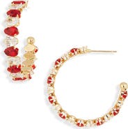 Cara Alternating Crystal Hoop Earrings