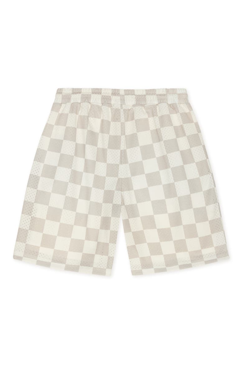 Shawn Mesh Shorts, Alternate, color, LIGHT SAND