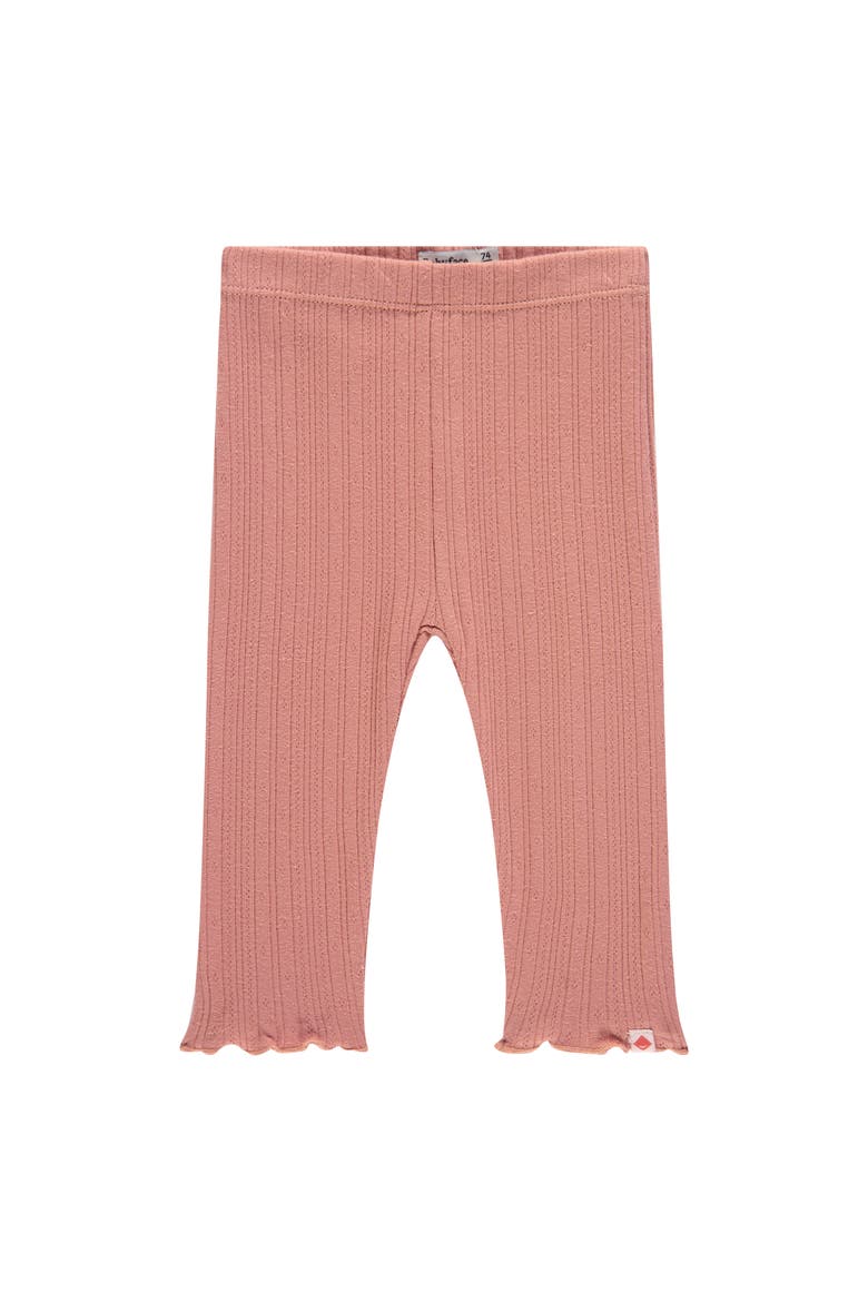 Pointelle Leggings, Main, color, Rouge