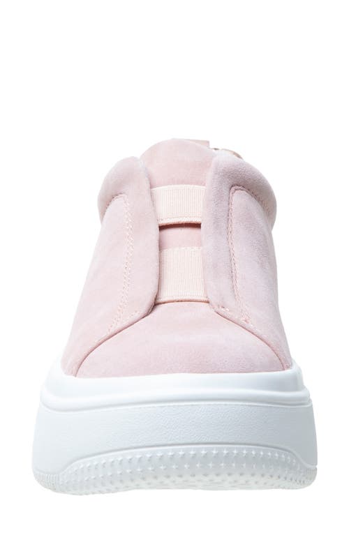 Linea Paolo Golde Platform Sneaker