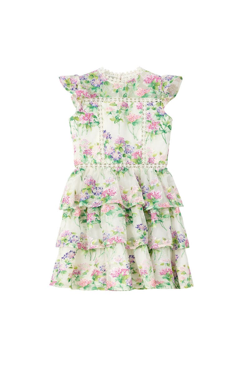 Marlo Kids Clementine Embroidered Mini Dress, Main, color, Floral