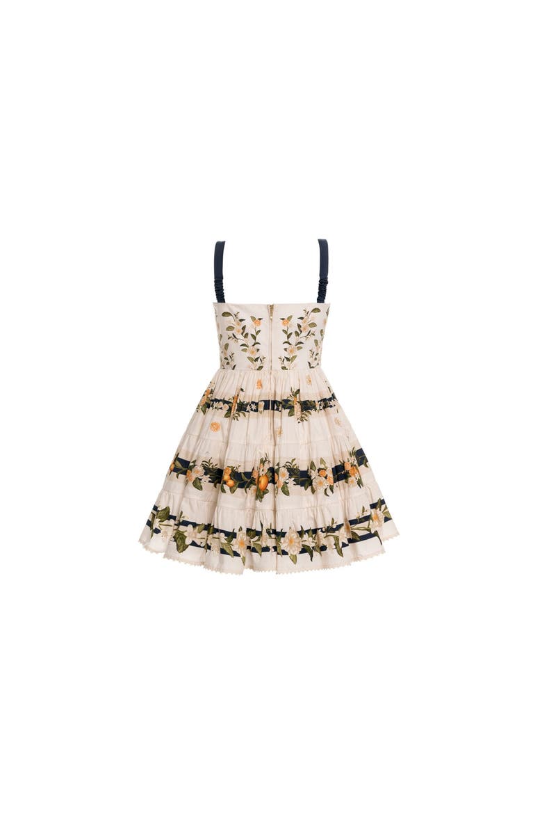 Lima Valle Mini Dress, Alternate, color, Multicolor