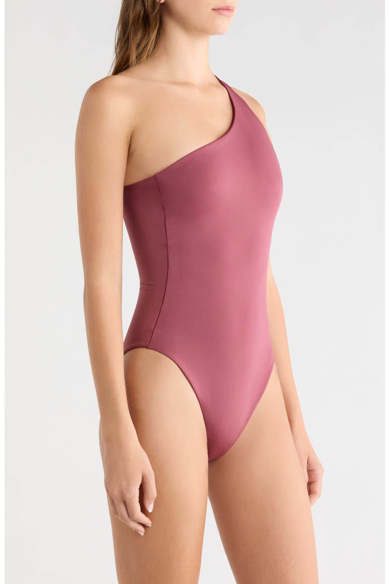 Shoreline One-Shoulder One-Piece Swimsuit, Alternate, color, DESERT PLUM