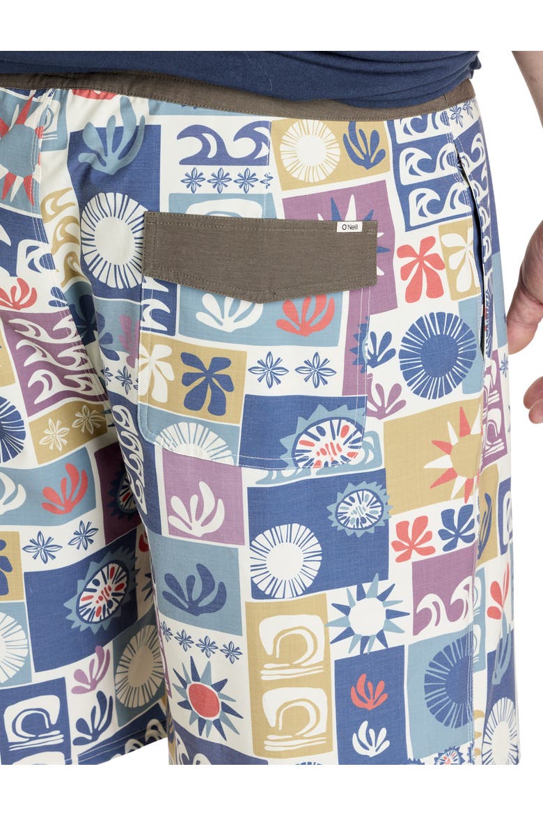 Big & Tall Retro-Inspired Cruzer Board Shorts, Alternate, color, MULTI