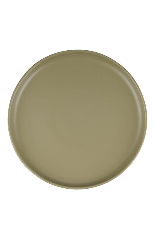 Stone Lain Tom Stoneware 4-piece Dinner Plate Set In Green