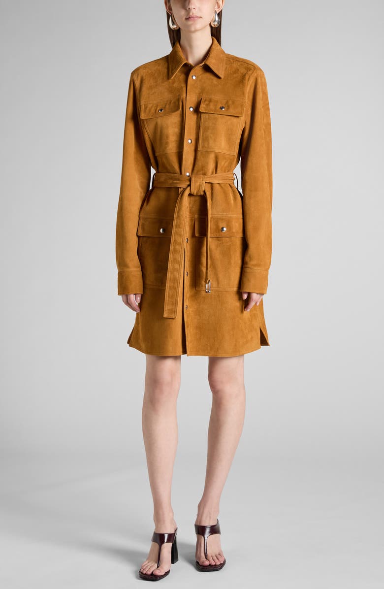Bottega Veneta Embossed Suede Belted Shirtdress, Main, color, 