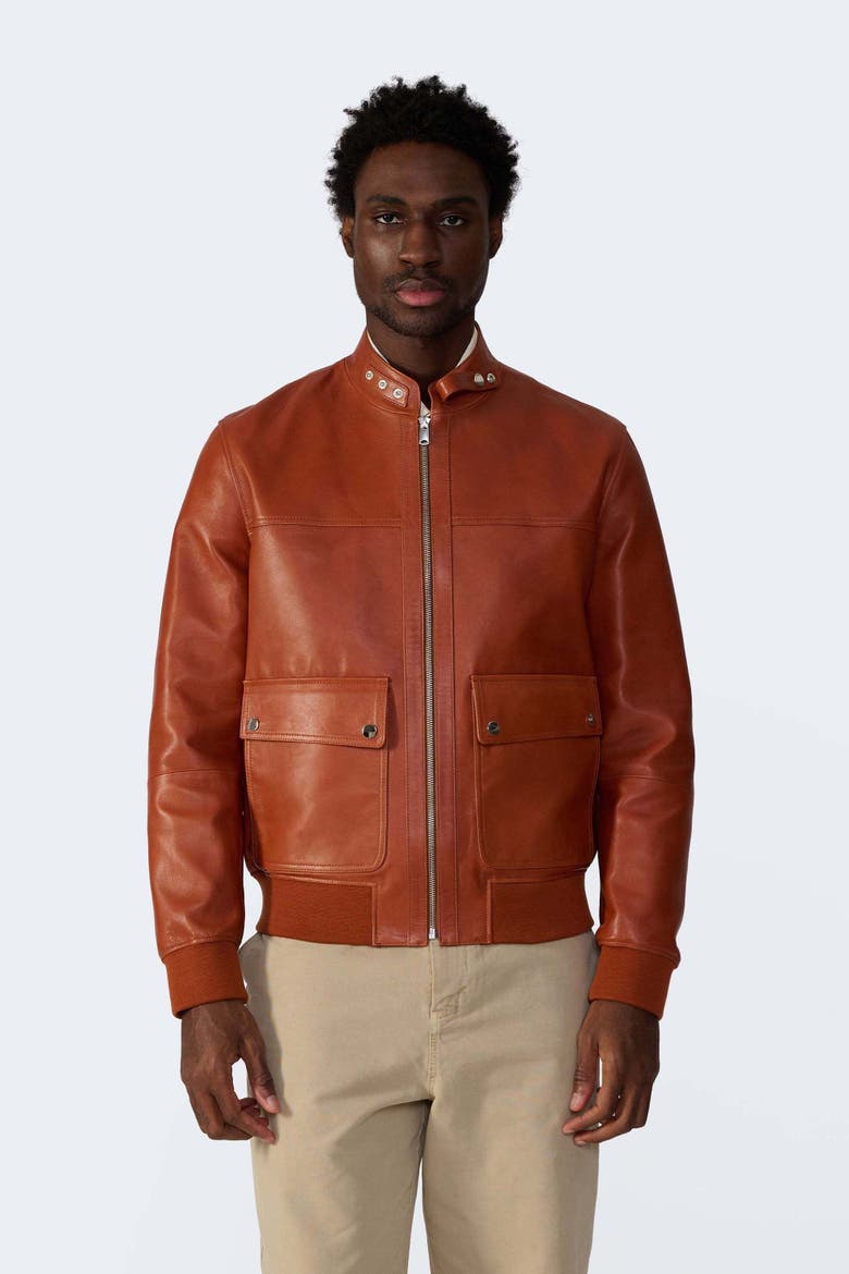 Rafe Leather Jacket, Alternate, color, Mocha Mousse