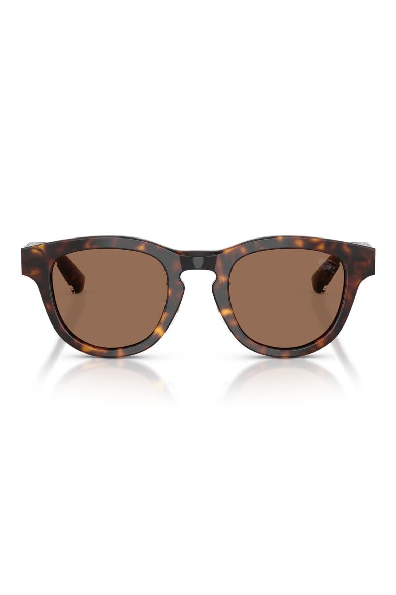 48mm Phantos Sunglasses, Main, color, DARK HAVANA / DARK BROWN