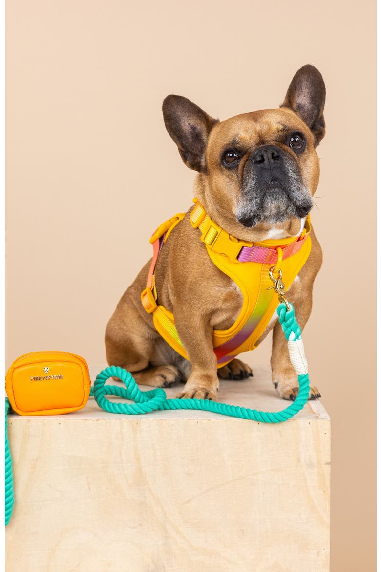 Kenna Dog Harness, Alternate, color, Kenna