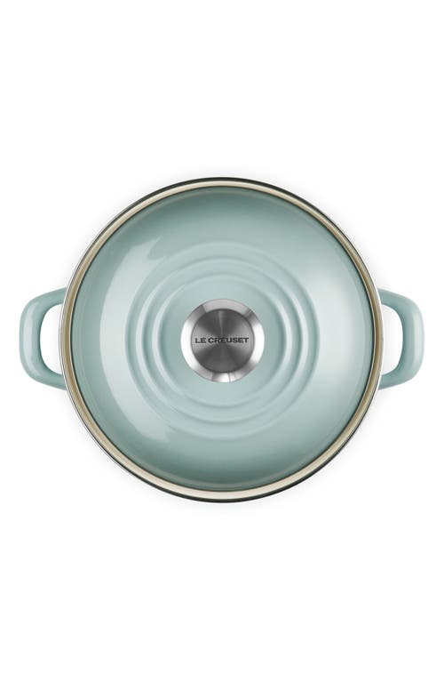 Le Creuset Enameled Stainless Steel Petite Stock Pot In Sea Salt