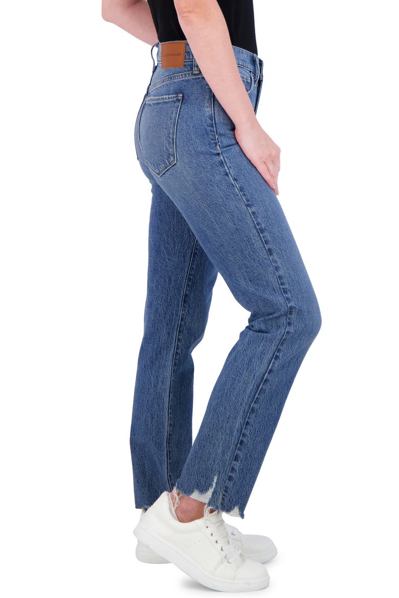 Zoe High Waist Straight Leg Jeans, Alternate, color, PELICAN GROVE FRAY