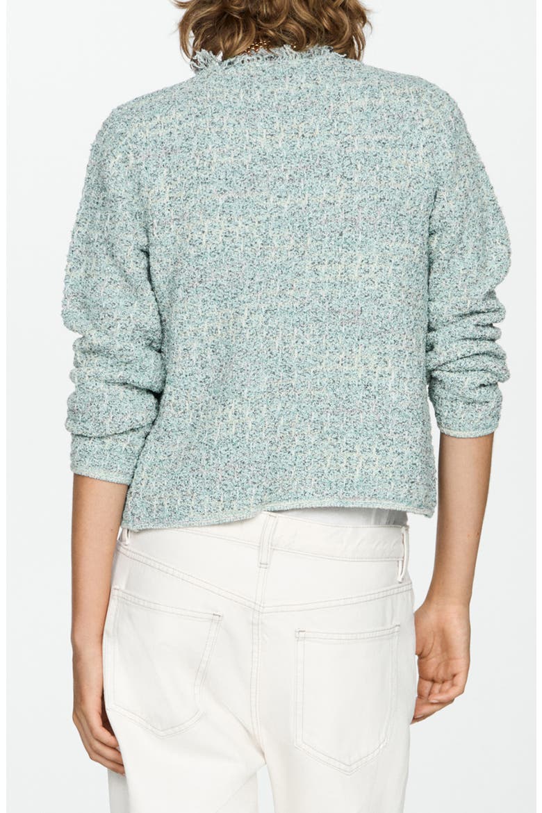 Fringe Trim Tweed Jacket, Alternate, color, AQUA GREEN