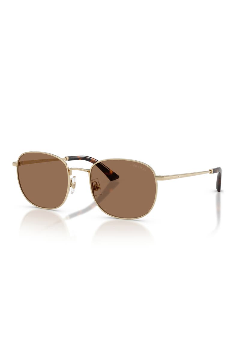 52mm Phantos Sunglasses, Alternate, color, PALE GOLD / DARK BROWN