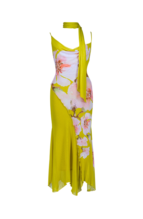 Elaria Floral Printed Mesh Dress