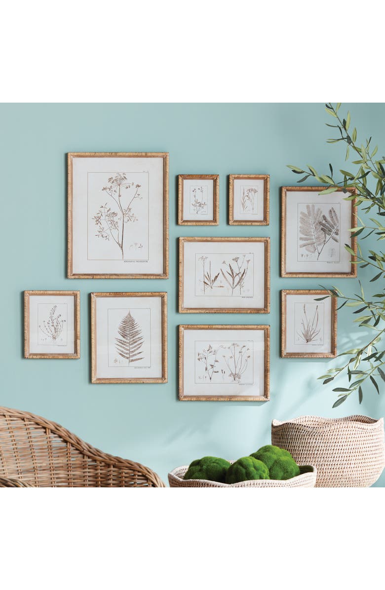 Napa Home & Garden 15.75"W x 1"D x 19.75"H and 11.75 x 1 x 14 and 8.5 x 1 x 10.5 and 6.25 x 1 x 7.75 Botanical Study In Sepia Framed Wall Art Set of 9, Alternate, color, Beige