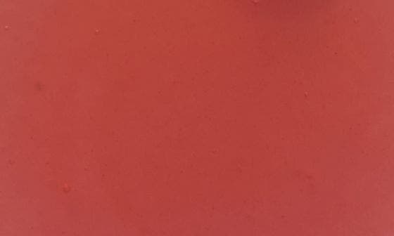 selected PLUM PALOMA