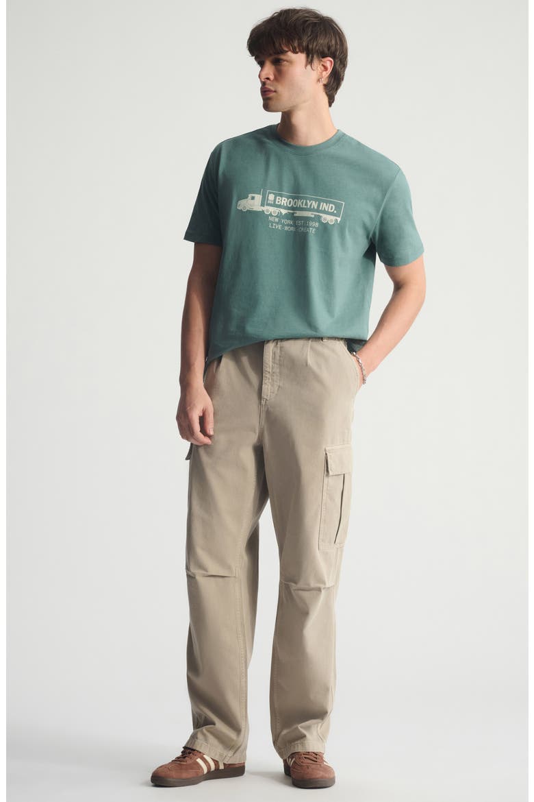 Loose Fit Cargo Pants, Alternate, color, WINTER TWIG