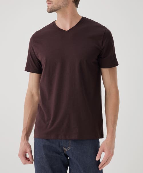 Pact Softspun Essential V-neck Tee In Multi