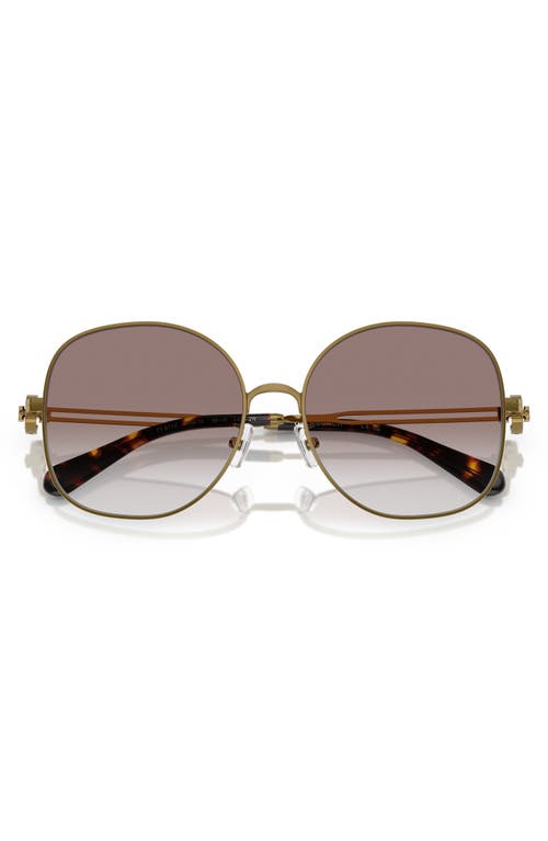 Tory Burch 56mm Gradient Round Sunglasses In Bronze