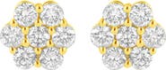 Haus of Brilliance 14K Yellow Gold 1.0 Ct Diamond Flower Earring