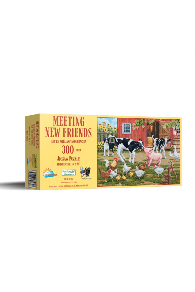 Meeting New Friends 300 piece Jigsaw Puzzle for Adults, Main, color, Multicolor