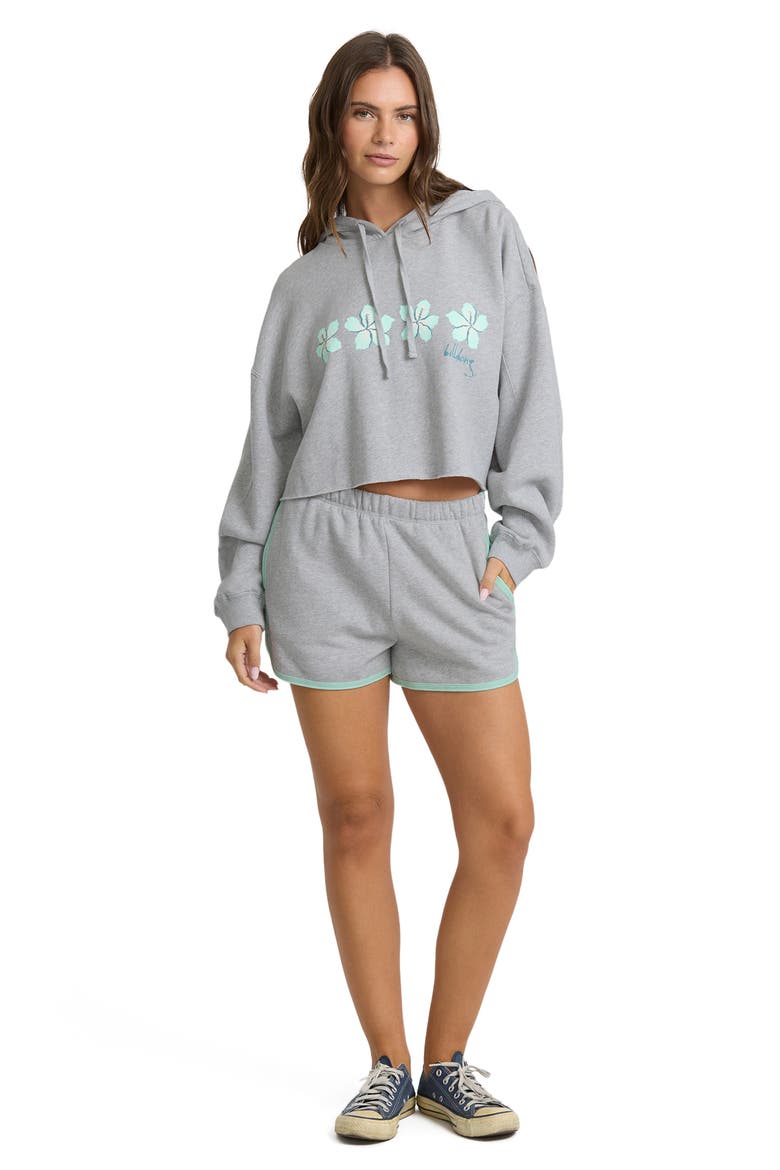 Palmer Fleece Crop Hoodie, Alternate, color, HEATHER GRAY