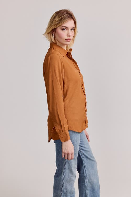 The Shirt By Rochelle Behrens The Signature Shirt In Brown