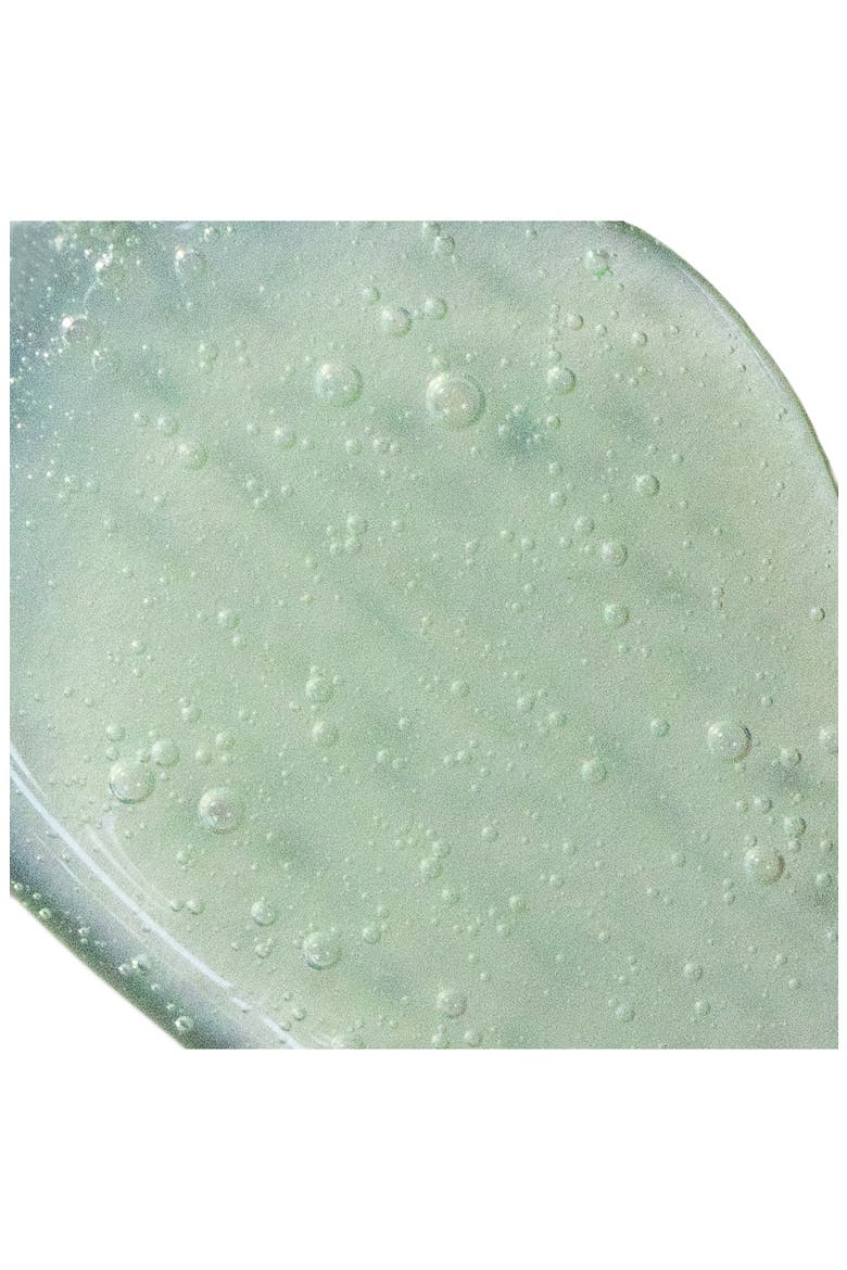Cactus Shower Gel - Dulce de Cuerpo, Alternate, color, NO COLOR