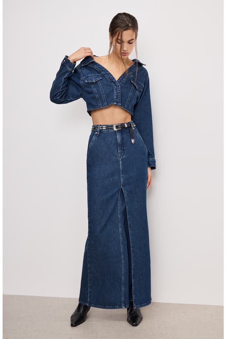 Denim Fit & Flare Skirt, Alternate, color, INDIGO724
