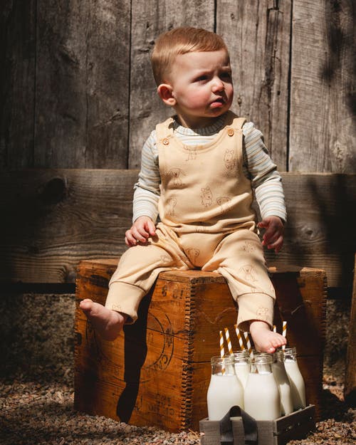 Deux Par Deux Organic Cotton Allover With Overalls Set Dogs In Nude