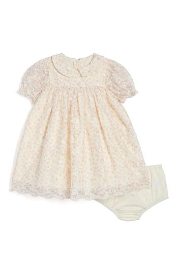 Pippa & Julie Collared Mesh Dress In Neutral