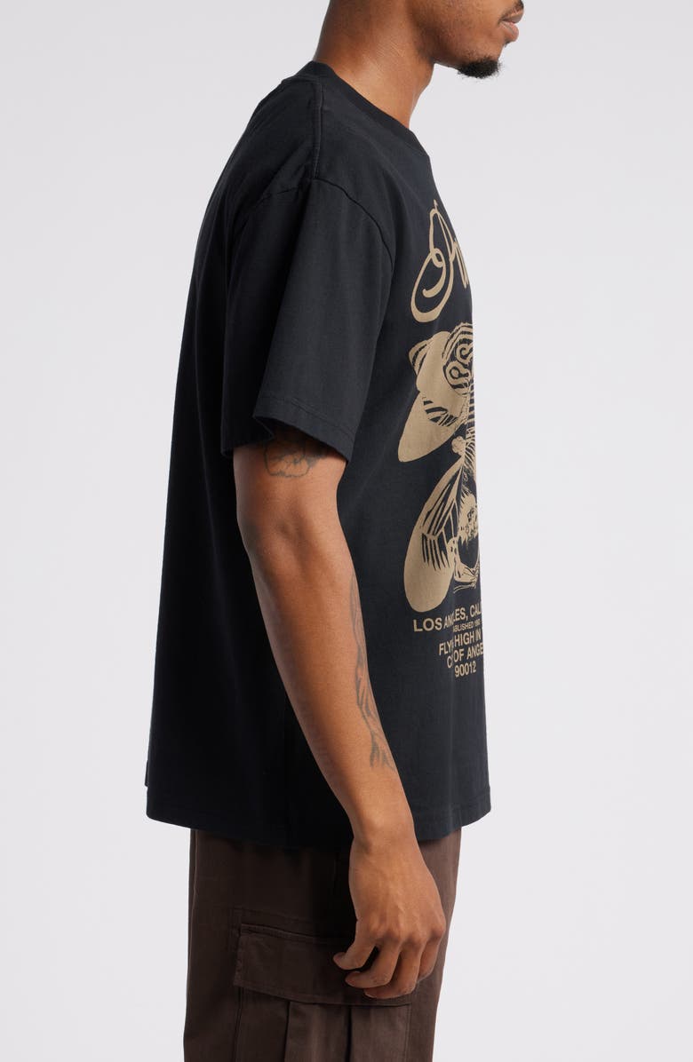 PacSun Wings Cotton Graphic T-Shirt, Alternate, color, 