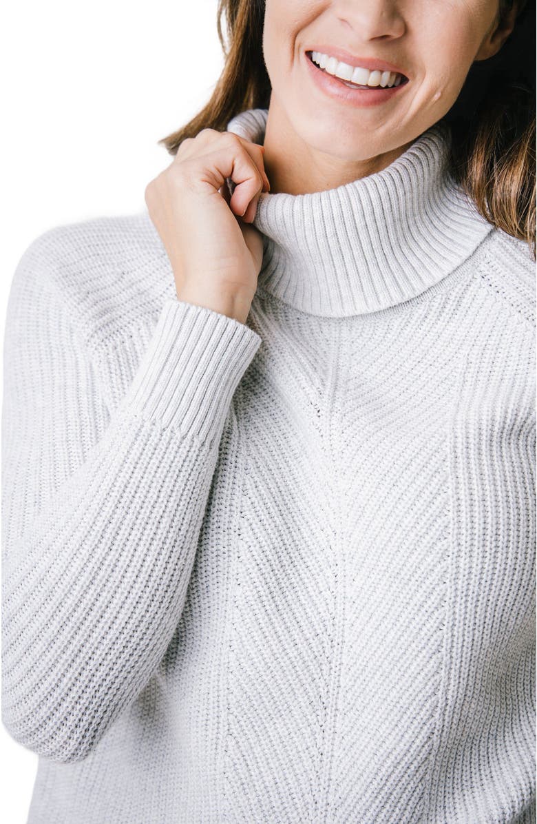 Hope & Henry Women's Ribbed Turtleneck Sweater, Alternate, color,