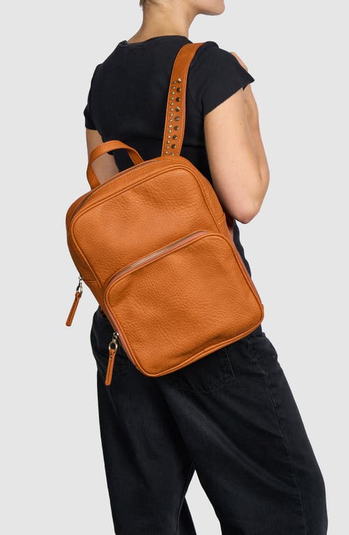 Urban Originals Blackbird Studded Backpack In Brown