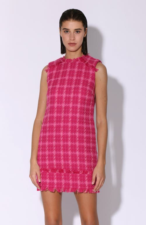 Walter Baker Bethani Windowpane Sleeveless Tweed Shift Dress In Pink