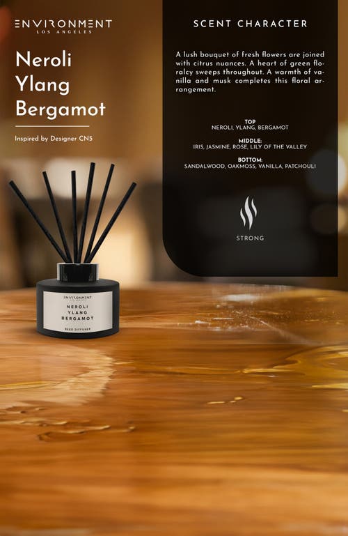 Environment Inspired By Designer Perfume Diffuser In Black