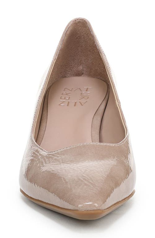Naturalizer Tylan Pointed Toe Pump In Brown