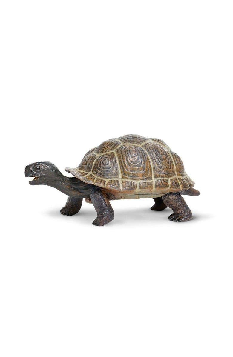 Safari Ltd. Tortoise Baby Toy, Main, color, NO COLOR