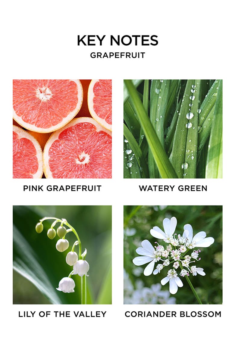 Grapefruit Scented Candle, Alternate, color, NO COLOR