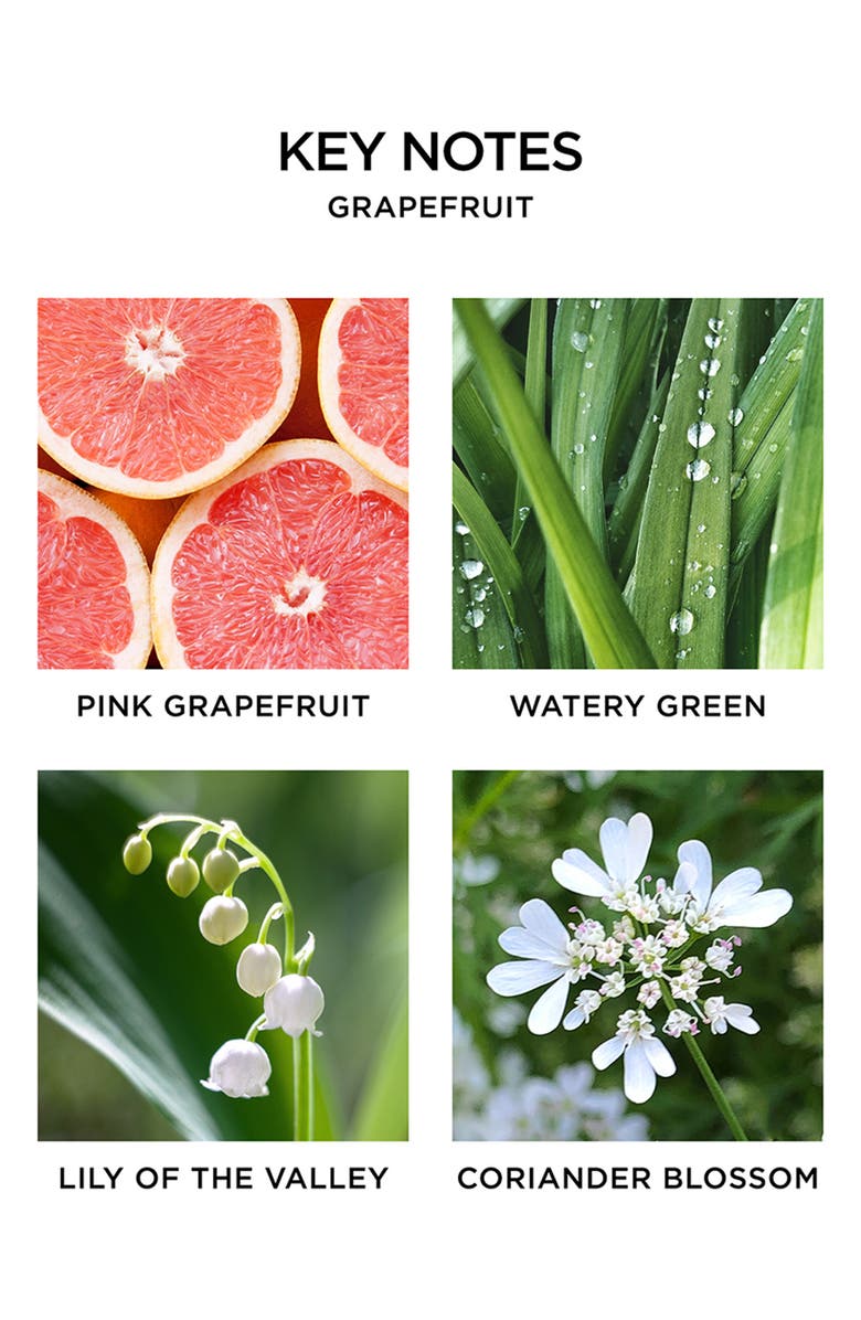 Grapefruit Scented Candle