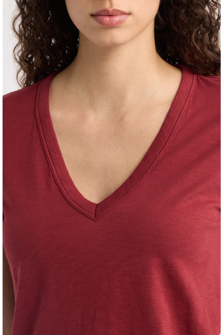 The Slub V-Neck T-Shirt, Alternate, color, PMGT