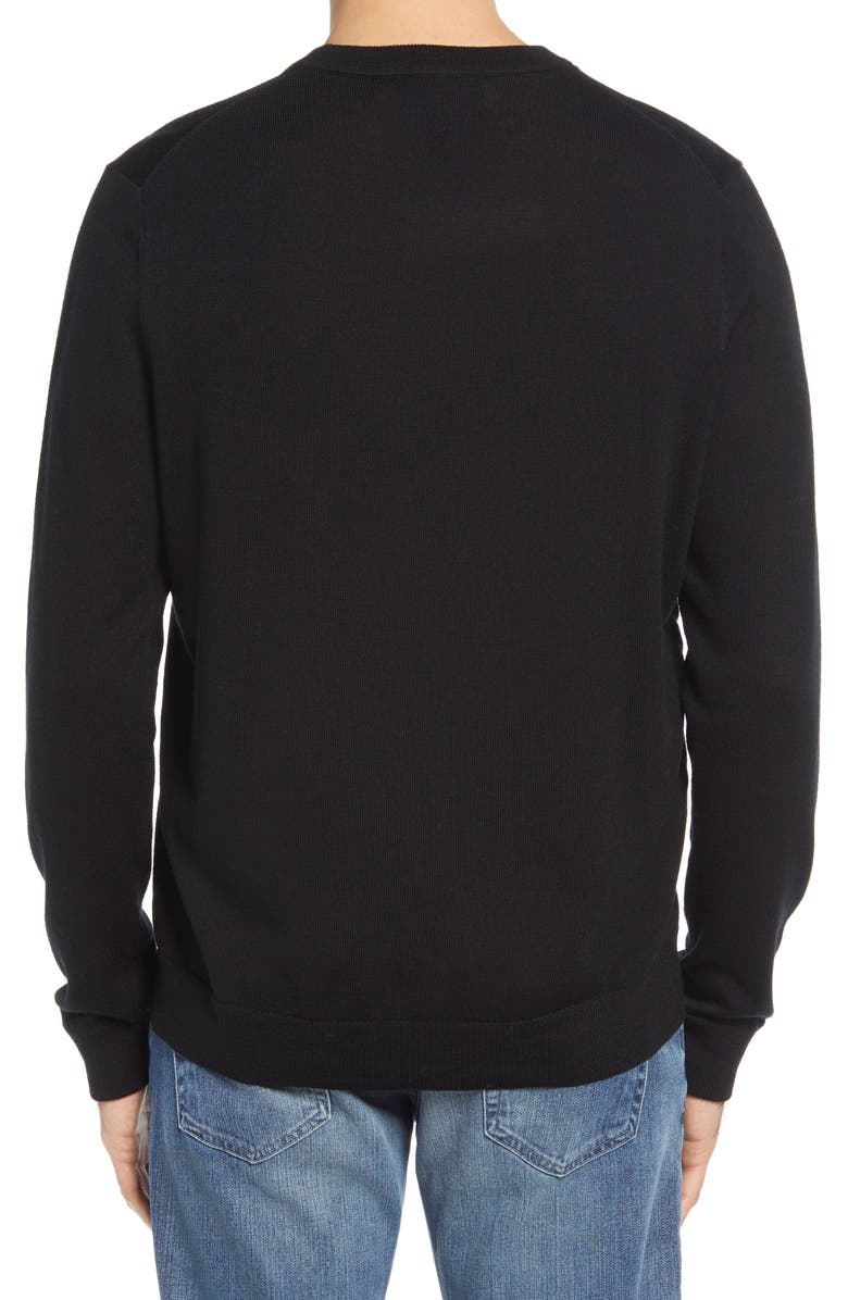 Nordstrom Washable Merino Crewneck Sweater, Alternate, color,