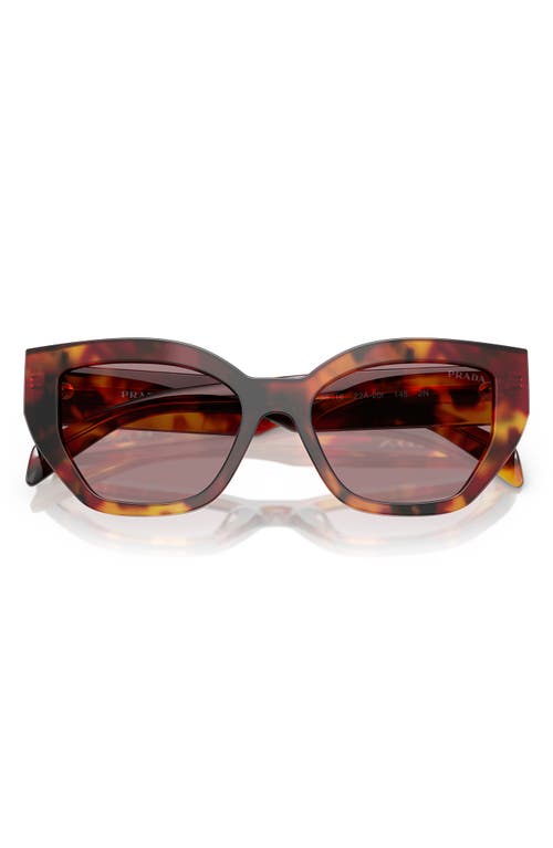 Prada 55mm Butterfly Sunglasses In Brown Tortoise